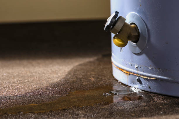 Best 24/7 water damage repair  in Sutherland, NE