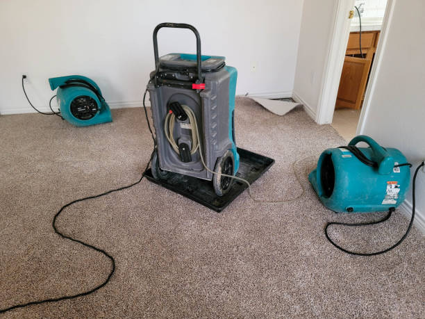 Best Sewage cleanup and water damage restoration  in Sutherland, NE