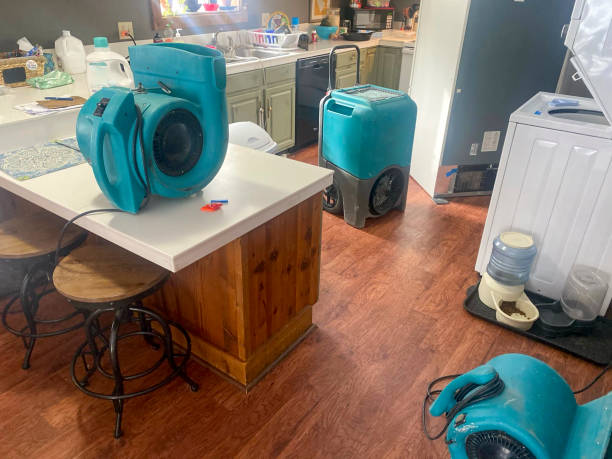 Best Residential water damage restoration  in Sutherland, NE