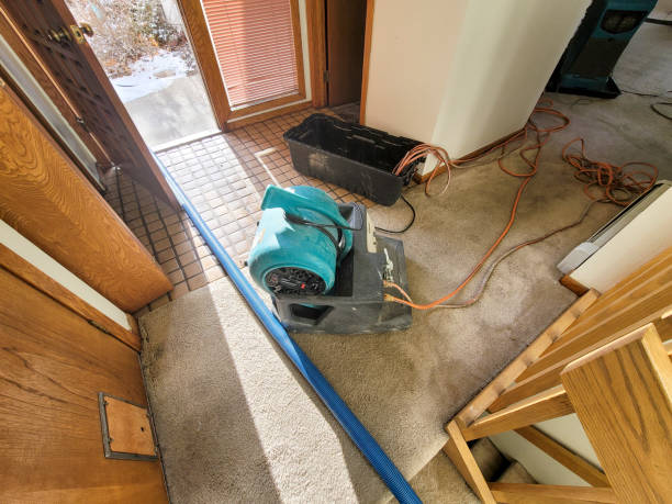 Best Emergency water damage restoration  in Sutherland, NE