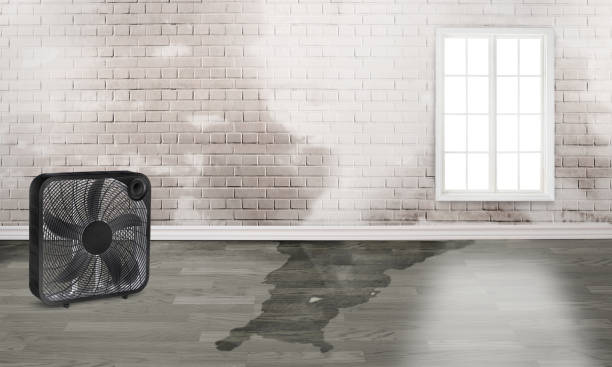 Best Commercial water damage restoration  in Sutherland, NE