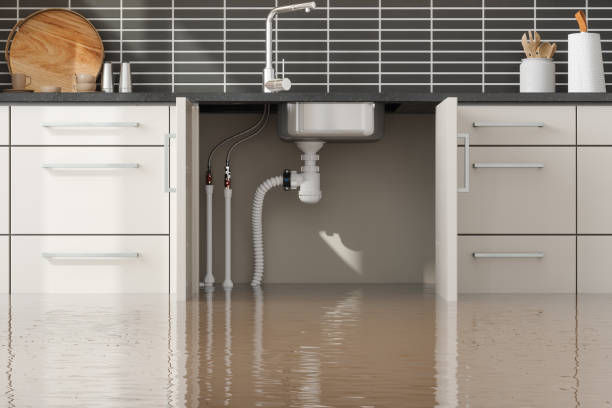 Best 24/7 water damage repair  in Sutherland, NE